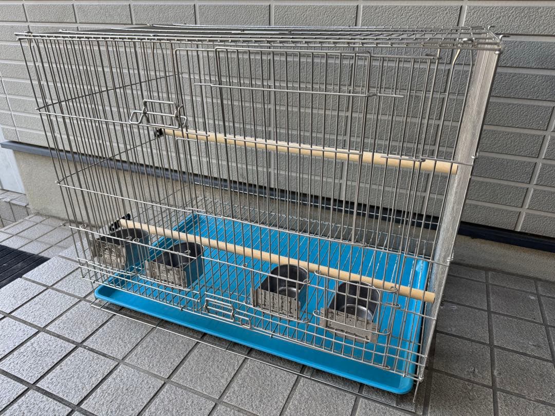 シルバー鳥かご 青い底トレイ付き