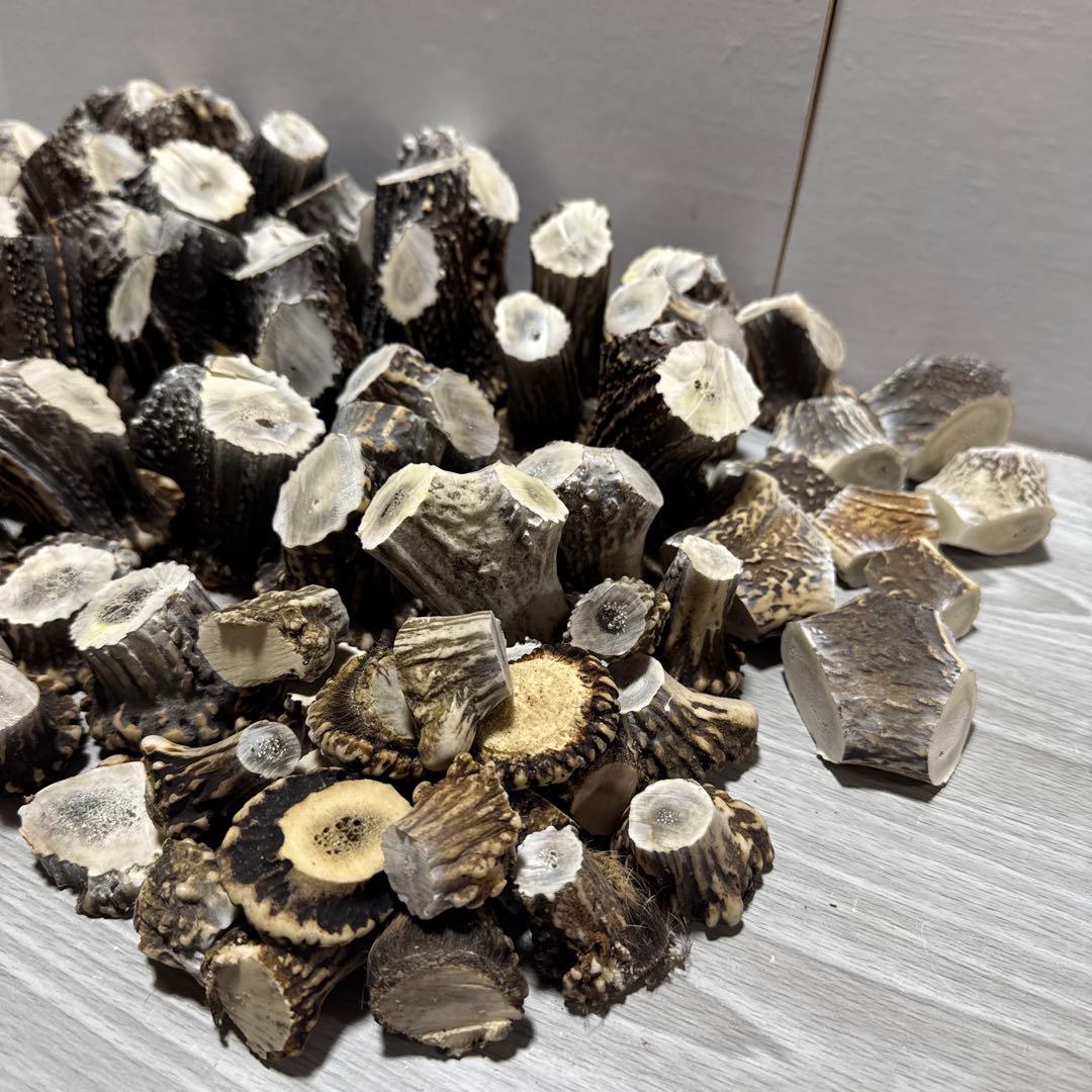 鹿の角　端材　ハンドメイド用