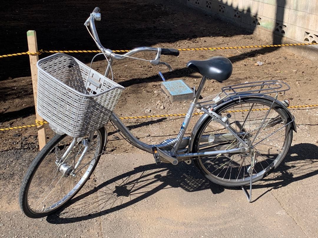 StainlessK ステンレスK BRIDGESTONE シルバー　22インチ