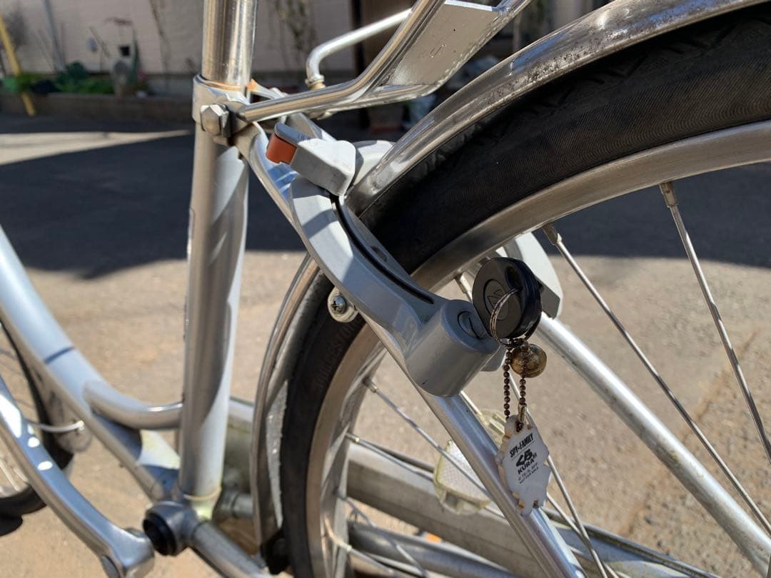 StainlessK ステンレスK BRIDGESTONE シルバー　22インチ