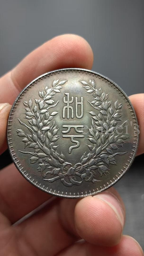 中華民国 段祺瑞 執政記念銀貨 銀元 古玩 純銀製（92銀）紀念幣・硬貨