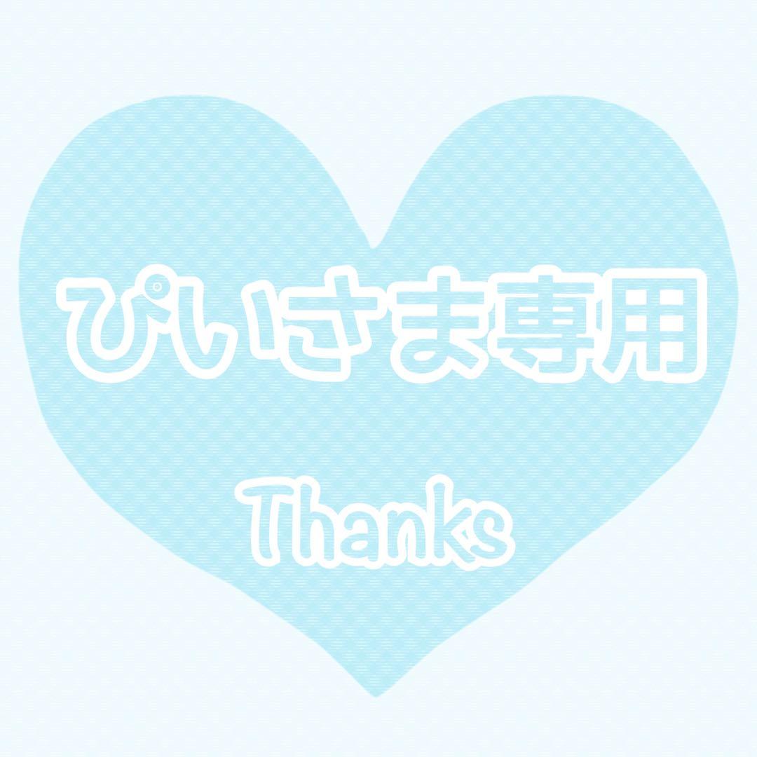 ♡ぴいさま専用❸♡ トリミングチョーカー