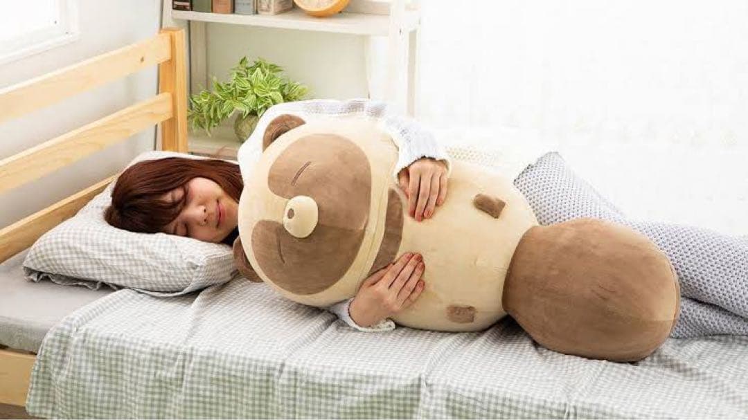 タヌキとキツネ すやすやフレンド クッション・抱き枕