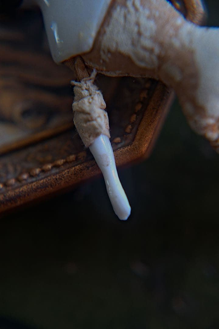 リ*カ様 アンティーク チャイナヘッドドール ミニョネット ミニチュア ブライス