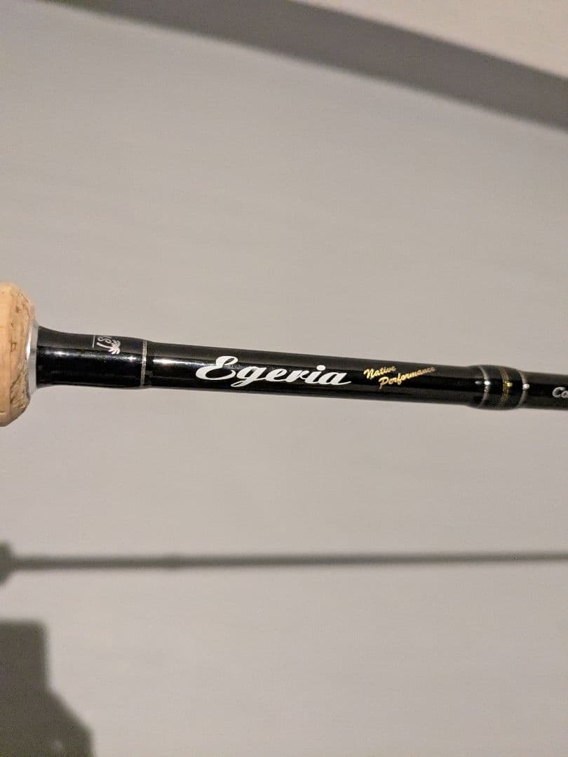 パームス　エゲリアネイティブパフォーマンス　ETVS-54XUL