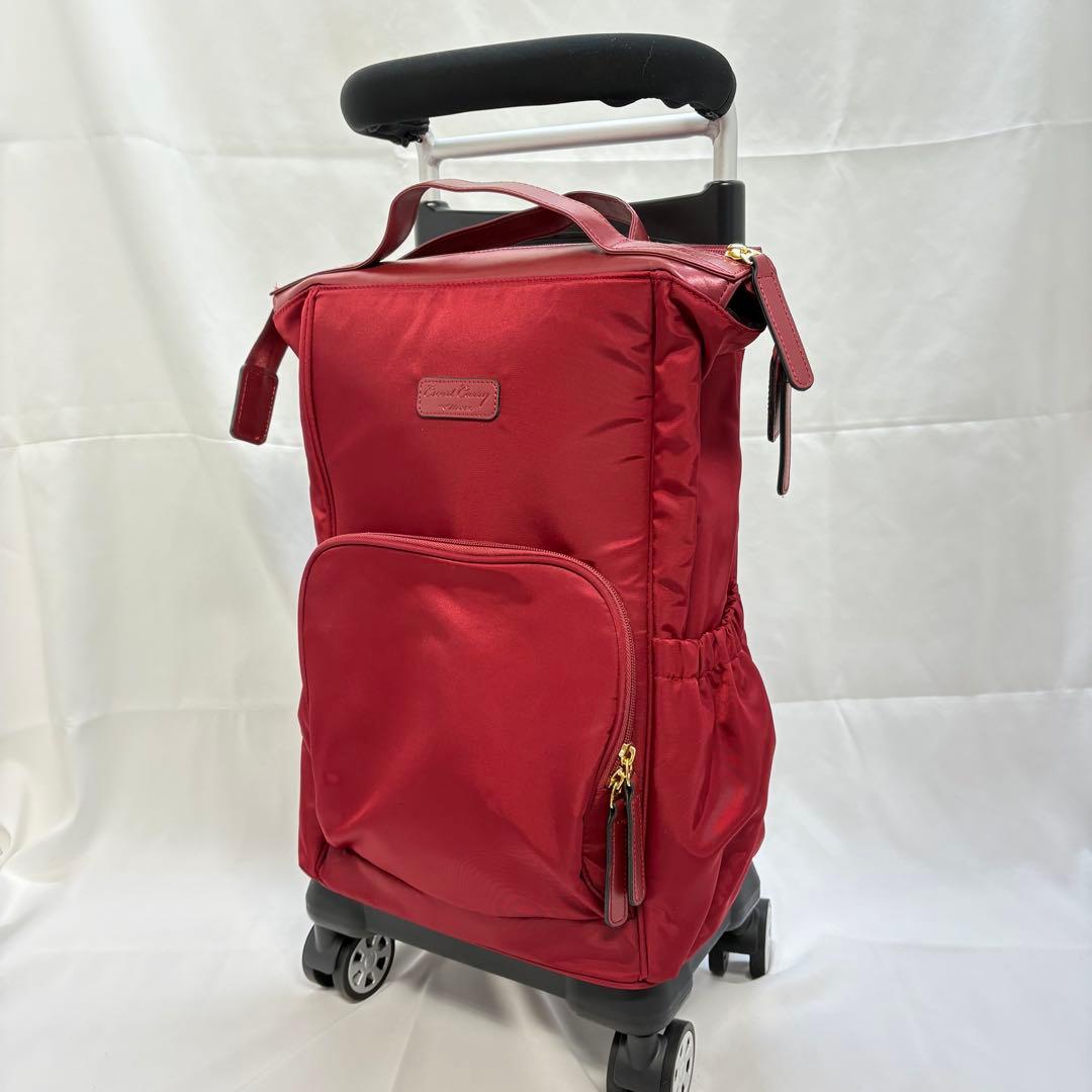 MIZUNO ミズノ エスコートキャリー キャリーケース ダブルキャスター