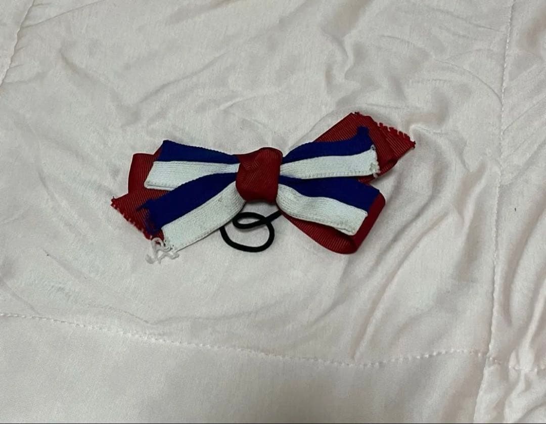 高校 チアダンス ユニフォーム ジャージ