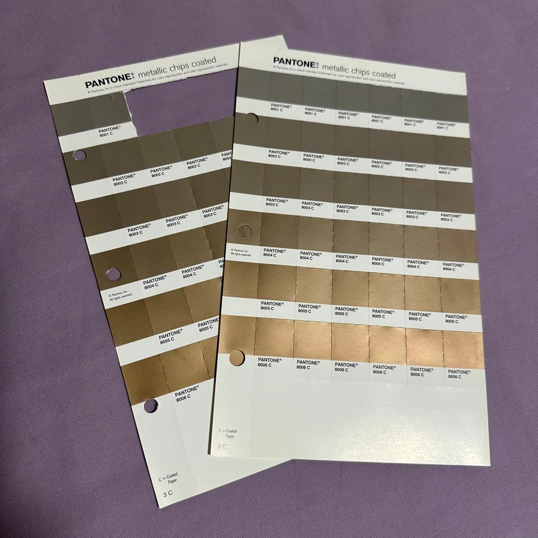 【早い者勝ち！】パントンメタリックチップスコート/正規品中古保管品