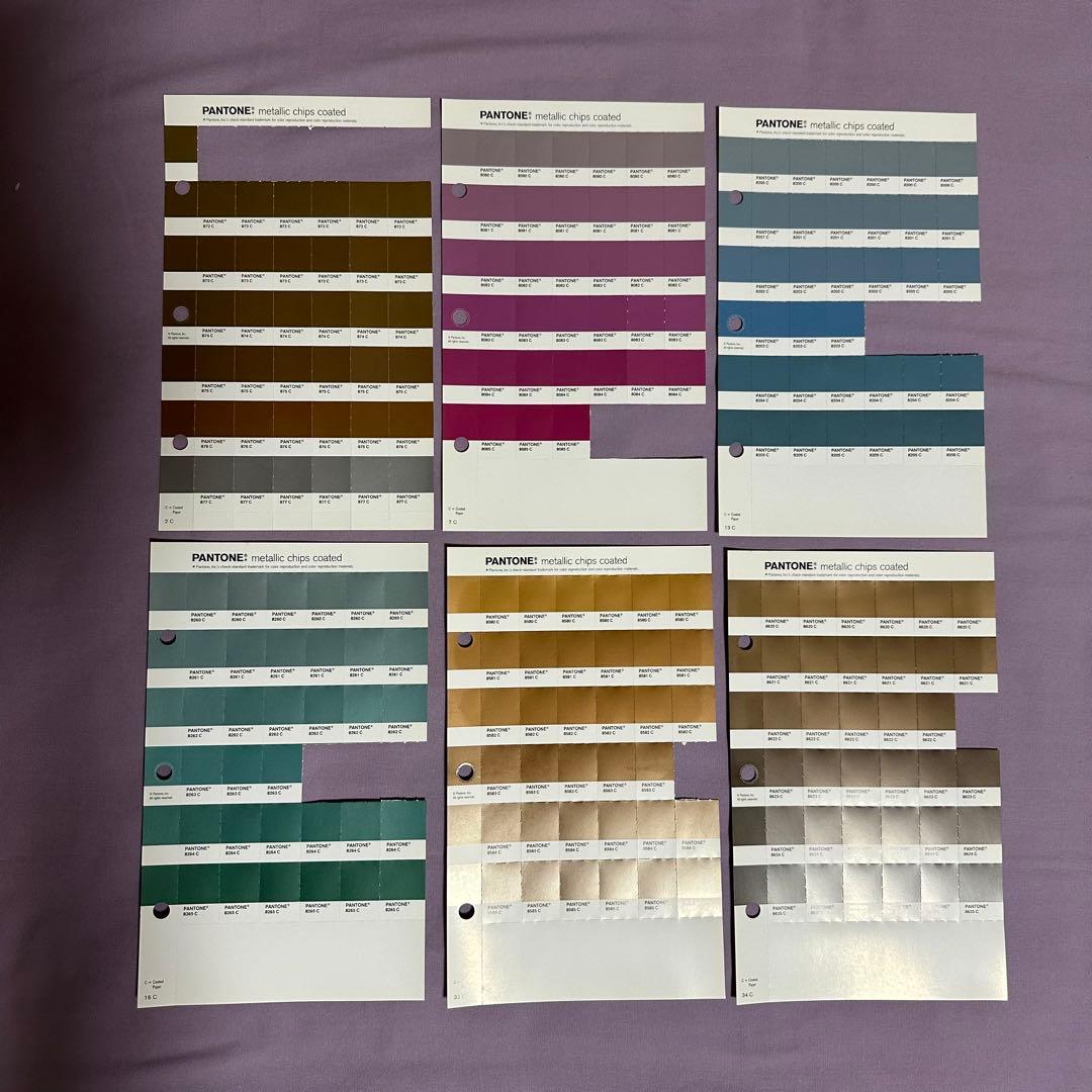 【早い者勝ち！】パントンメタリックチップスコート/正規品中古保管品