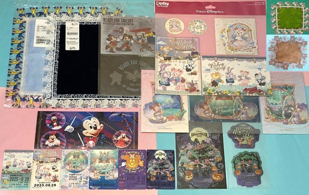 専用　ディズニーリゾート ポストカード　リゾートライン フリーきっぷ　近沢レース