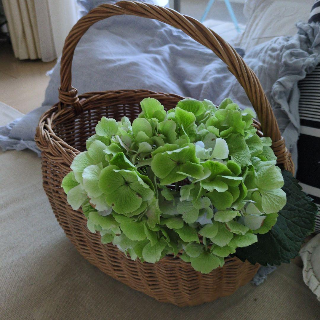 フランス　アンティーク　大きめ　パニエ　バスケット　籠　ブロカント雅姫