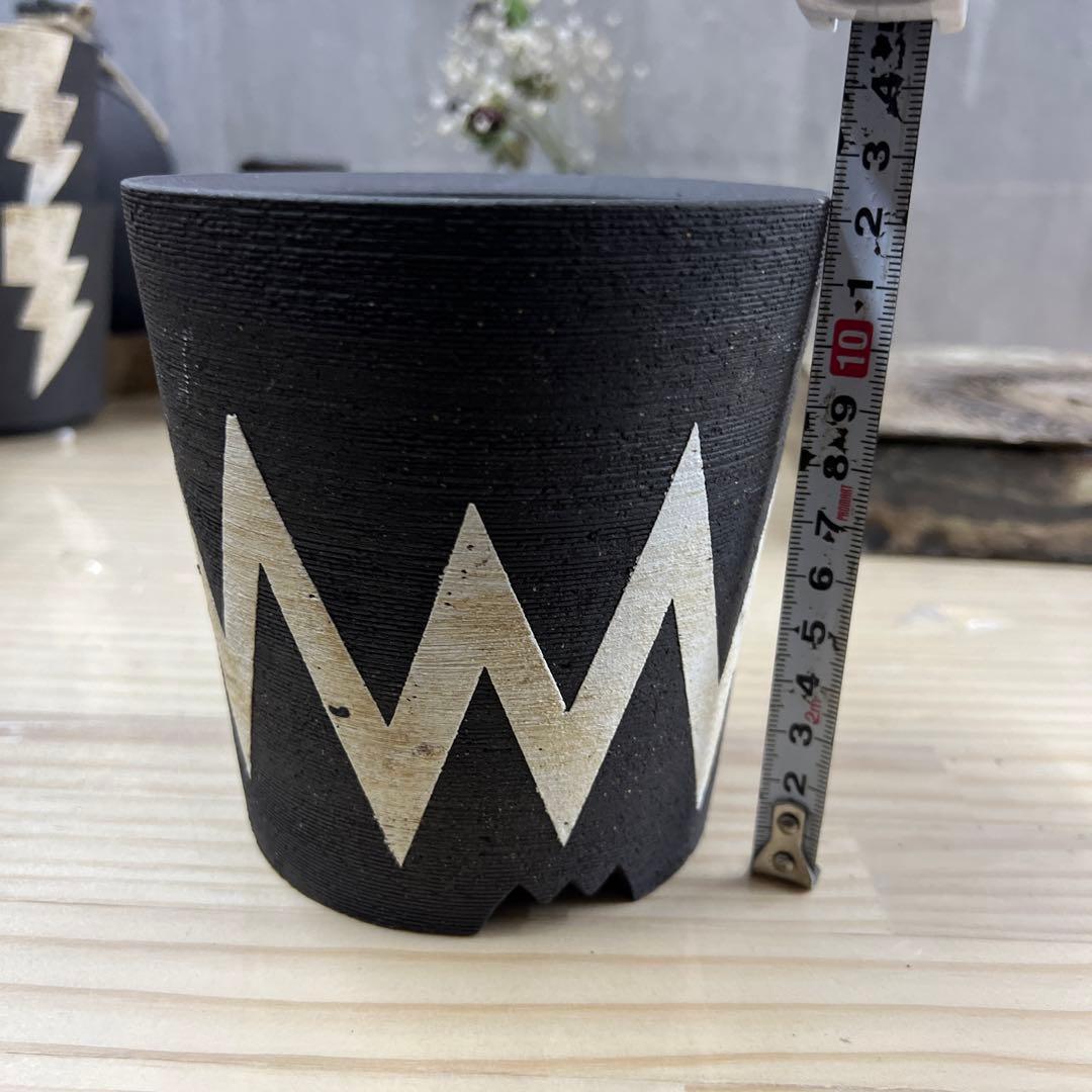 ノイズ 樣手作植木鉢 Mサイズ 2点検（ 塊根植物 グラキリス パキプス