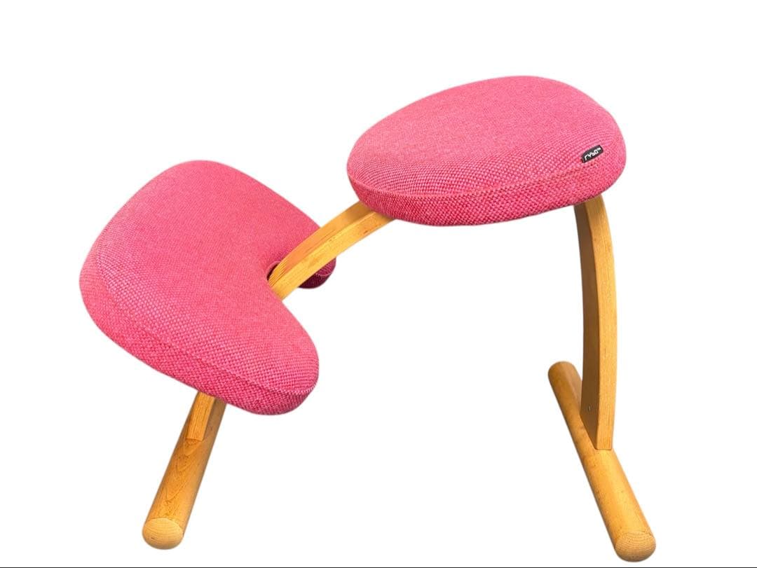 y*5様 Rybo リボ社 Balans Easy バランスイージー ピンク