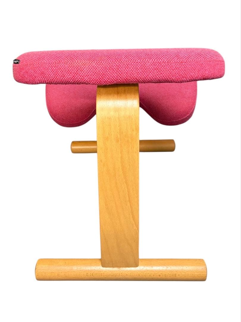 y*5様 Rybo リボ社 Balans Easy バランスイージー ピンク