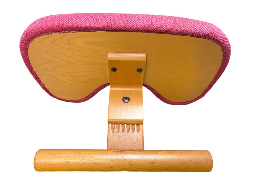 y*5様 Rybo リボ社 Balans Easy バランスイージー ピンク