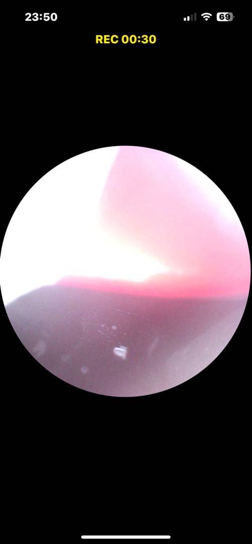 奇跡の未開封BBR.ExclusiveModels Ferrari375Plus