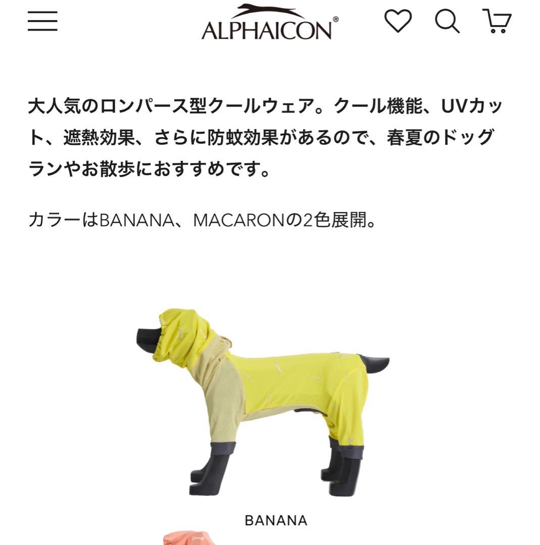 アルファアイコンドッグガードクール 2025 サイズSM