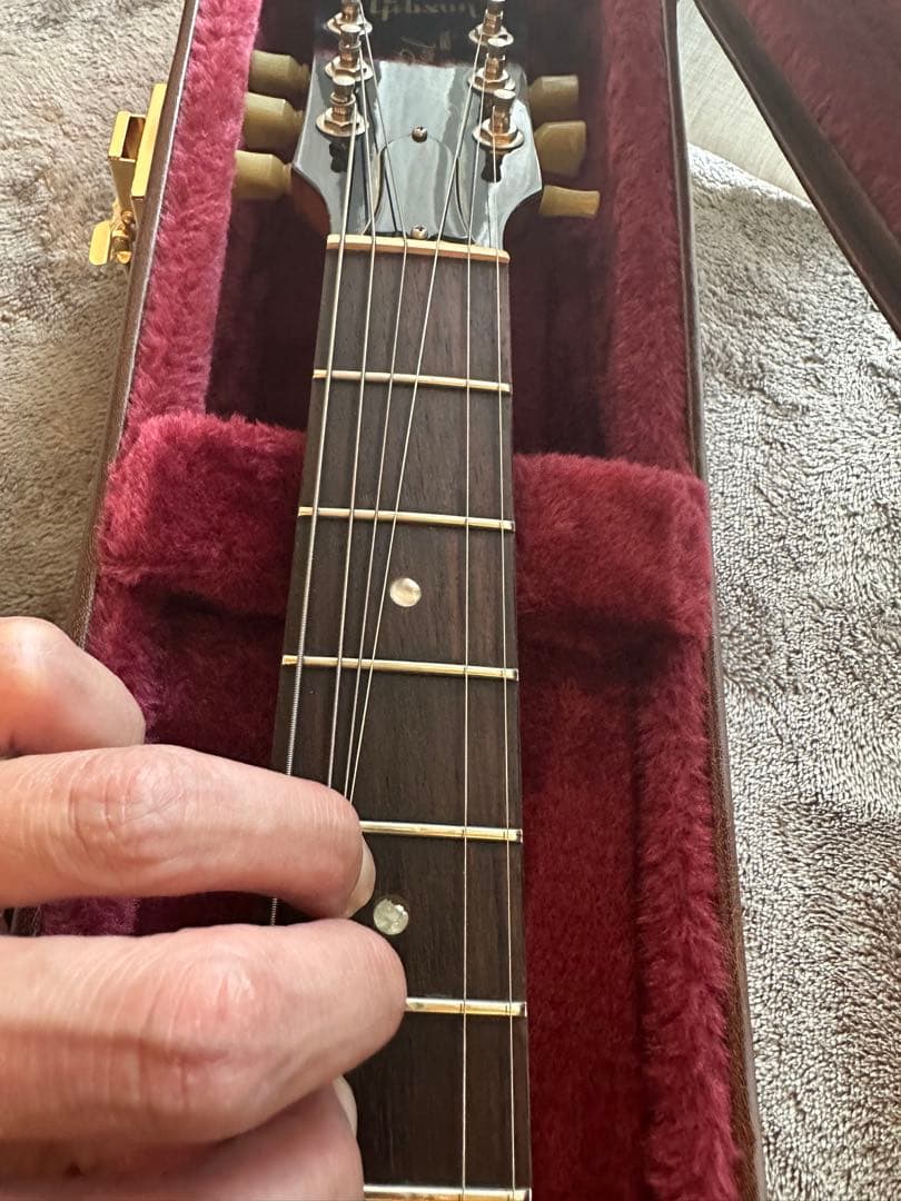 Gibson Les Paul Special P100 ハードケース