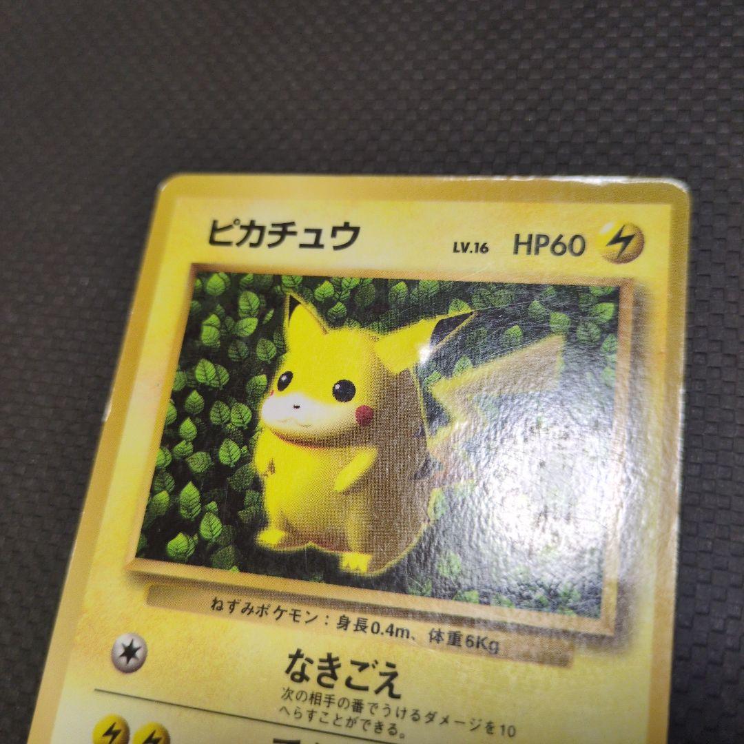 旧裏　　ピカチュウ　誤表記　ken sugimori　ポケモンカード