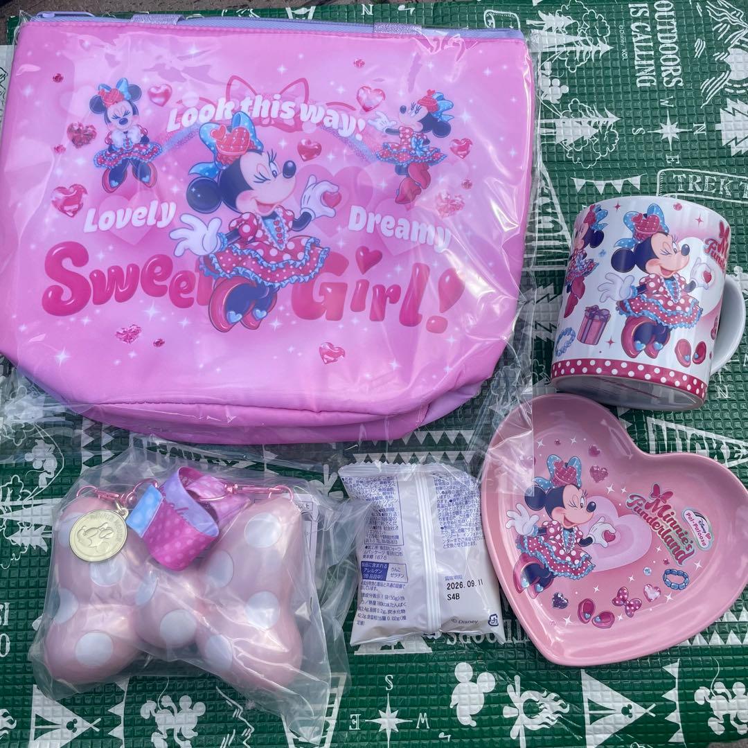 ディズニー　パルパルーザ　ミニー　ファンダーランド　スーベニアセット