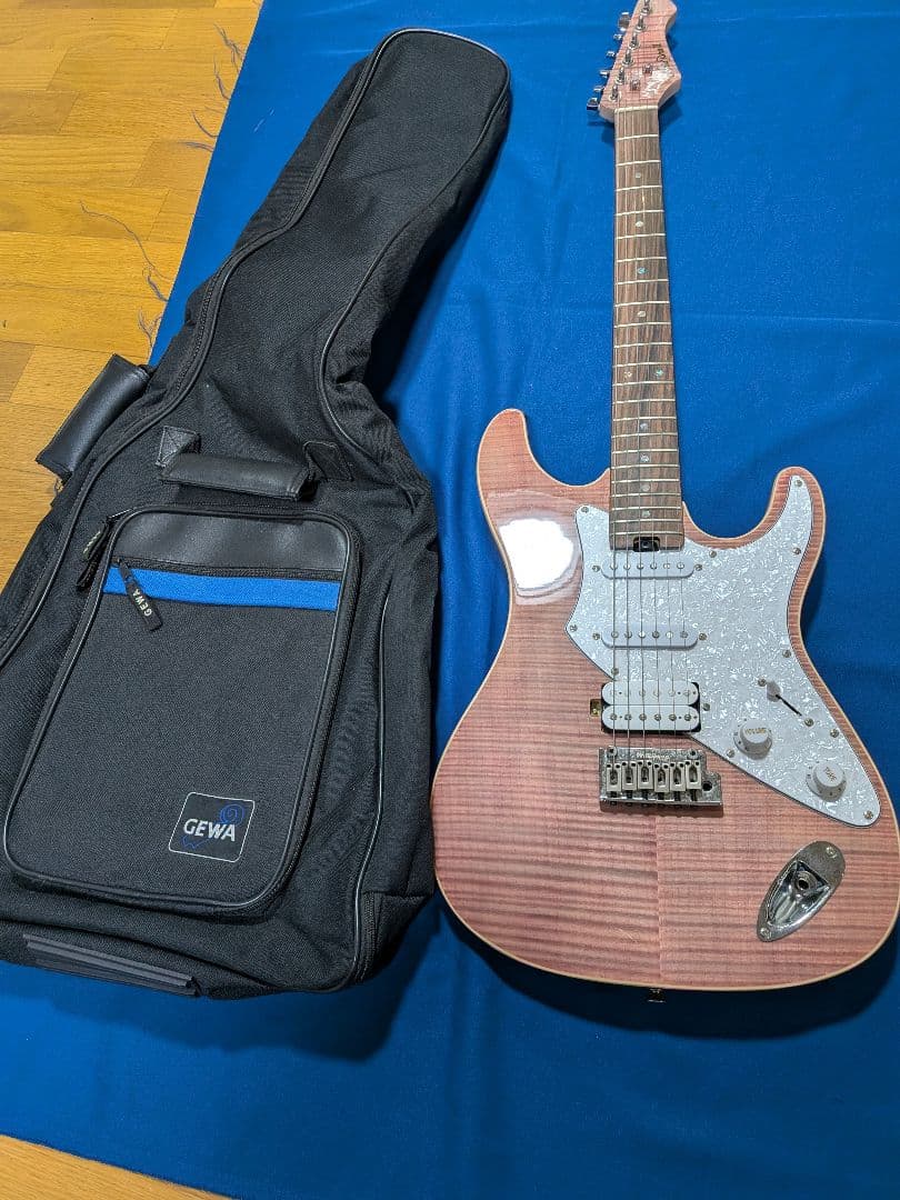 Aria Pro II 714-AE200ssPVギター ソフトケース付き