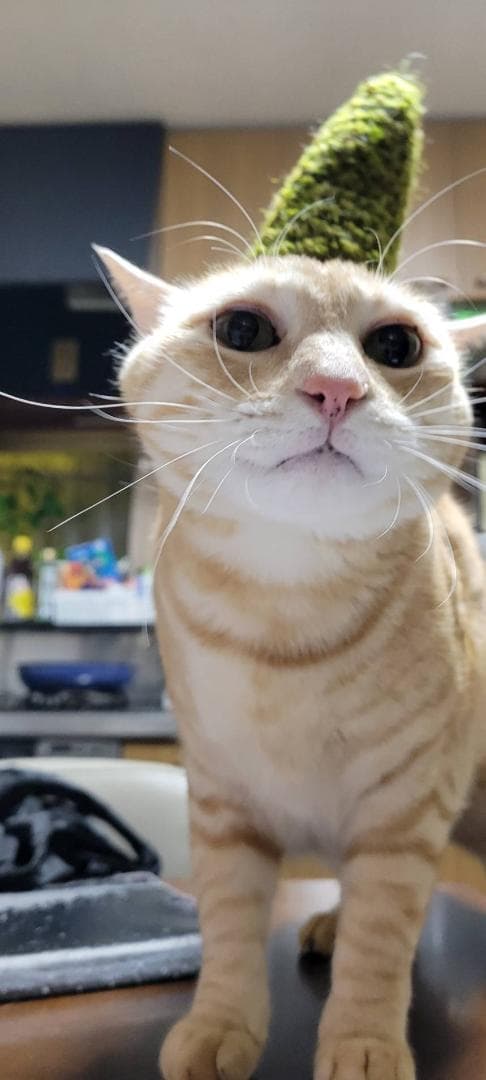 ニャオ（青いひよ子）