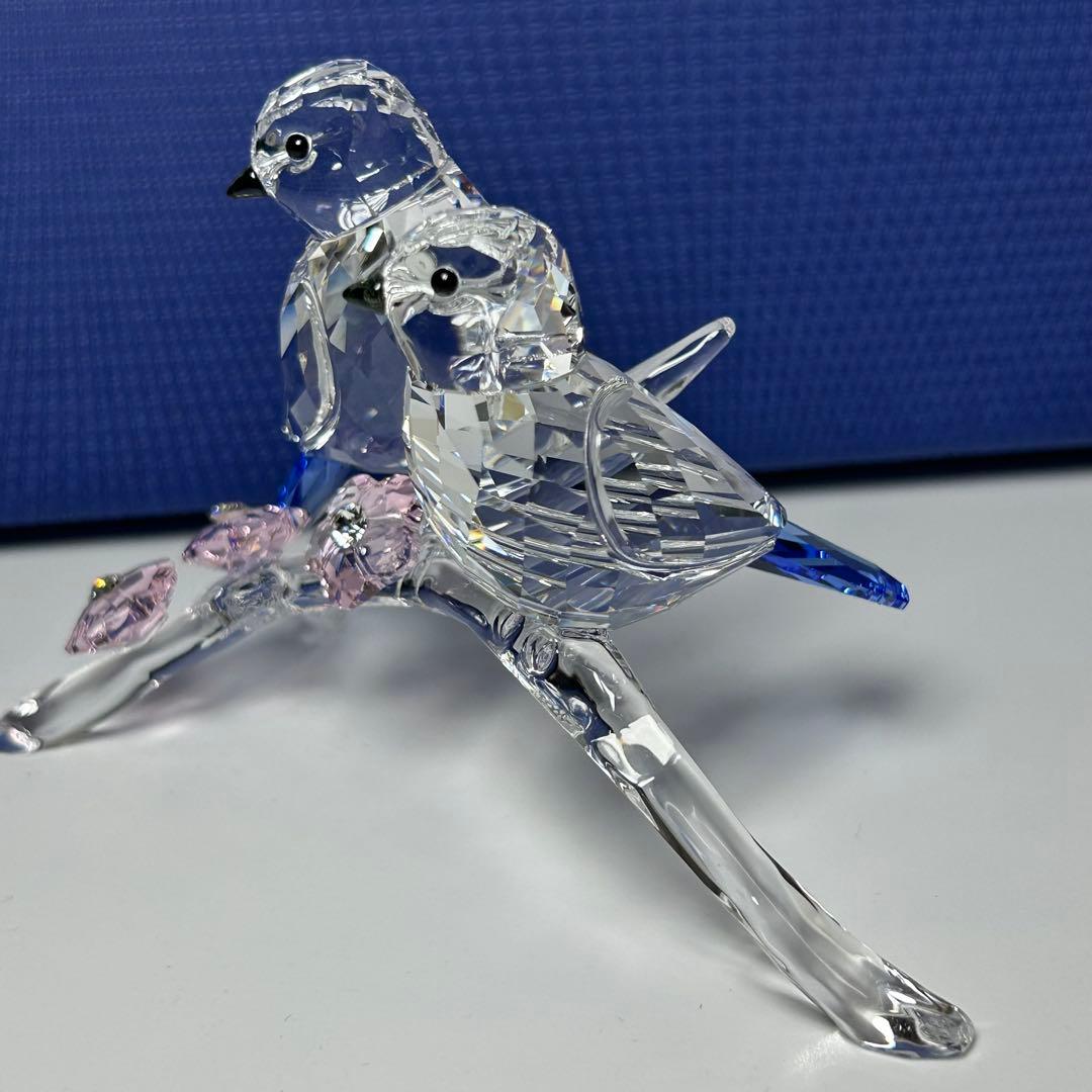 スワロフスキー Swarovski 『アオガラ』 5004727