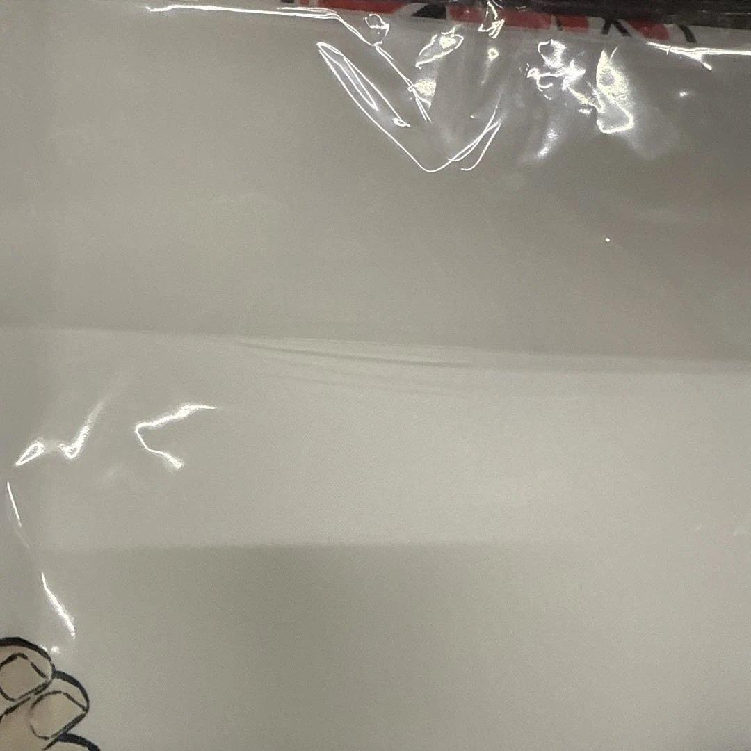 鬼滅の刃　煉獄杏寿郎　寝そべりイラストグッズ開封のみで撮影