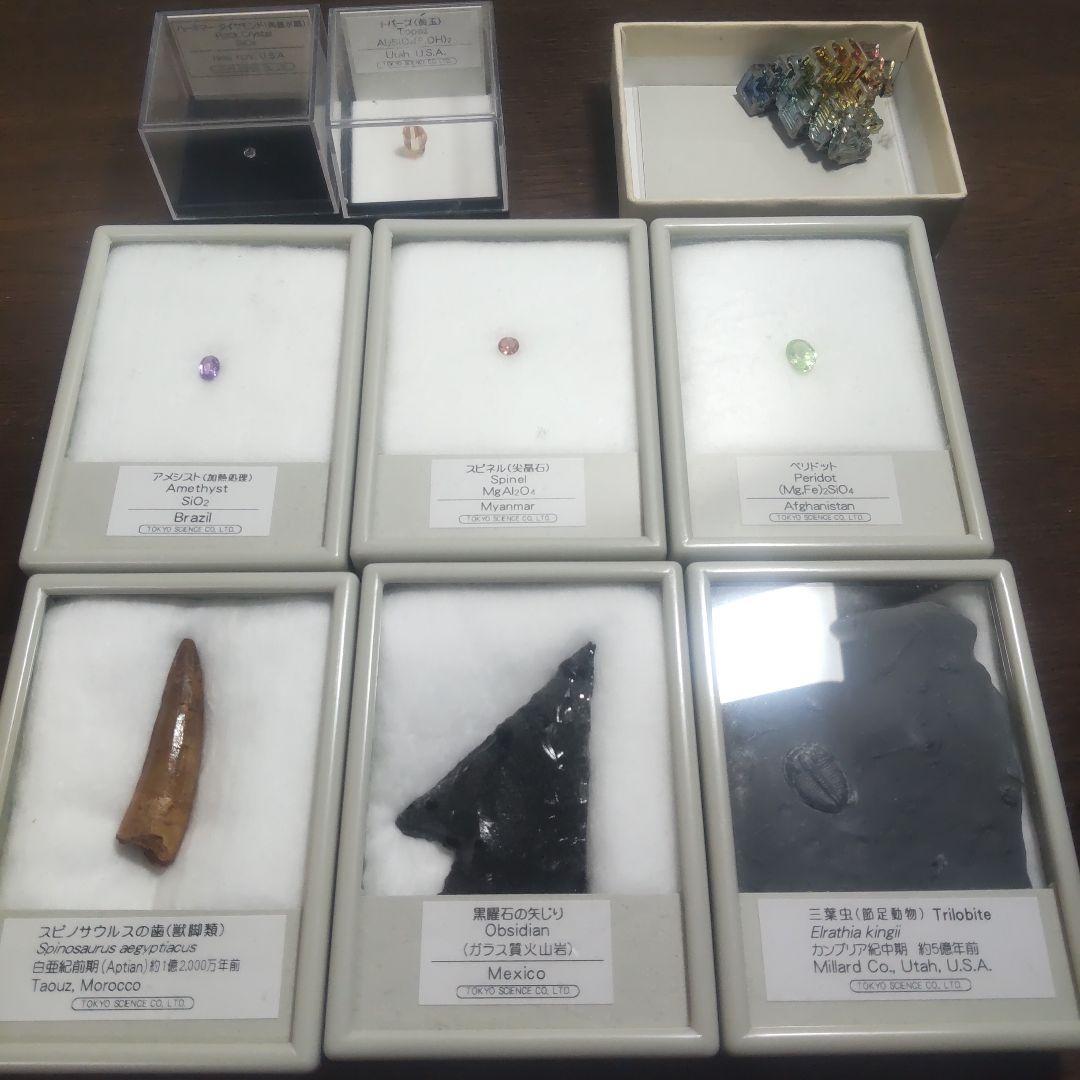 化石・鉱石セット