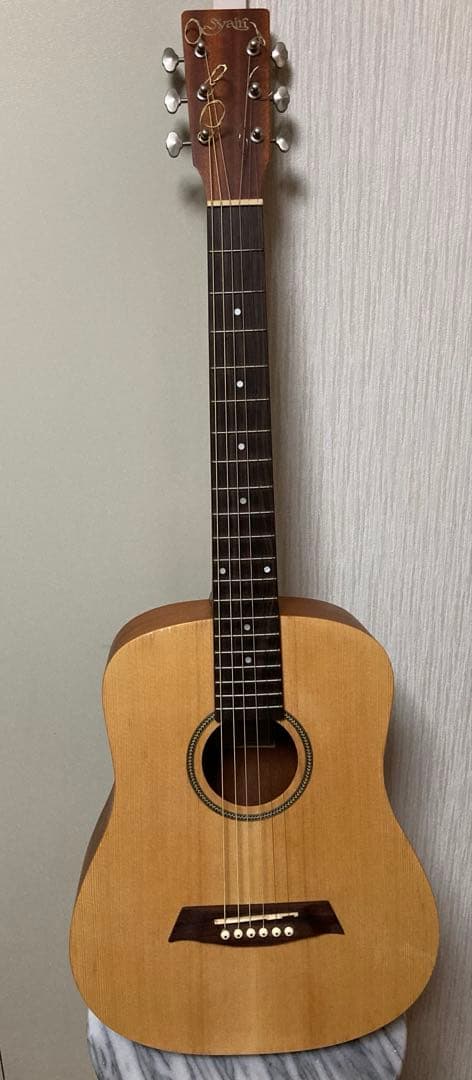 Syair ヤイリ アコースティックギター 6弦