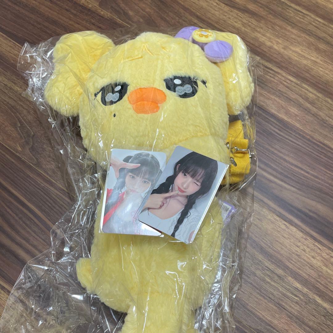 即日・匿名発送　IVE minive ハグバッグ　レイ　トレカ付き