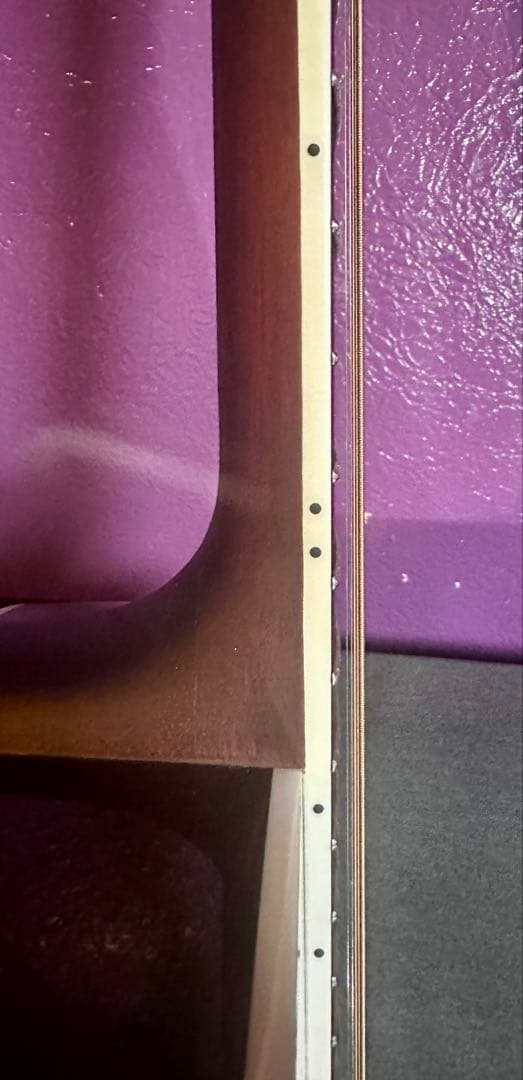 James J-300 D アコースティックギター