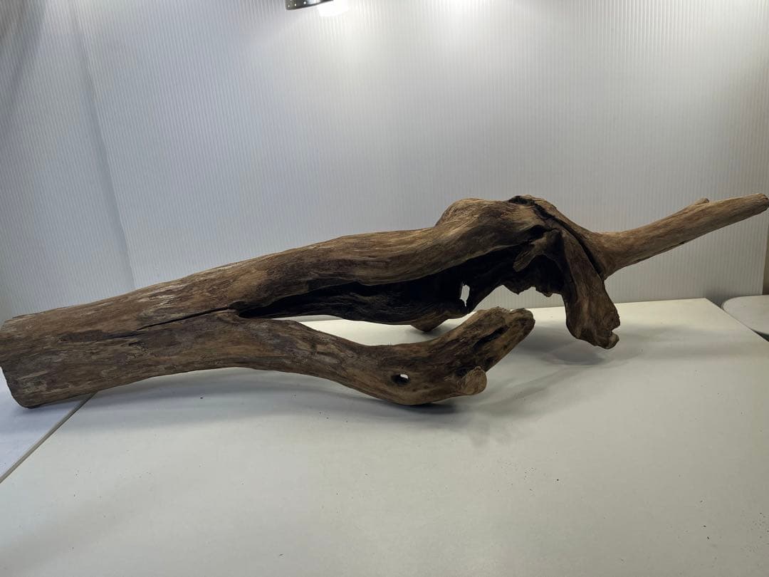 R71特大流木 アク抜き済み流木 爬虫類シェルター 登り木 インテリア 生け花