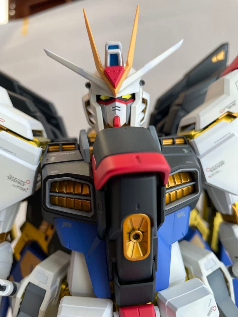 PG ストライクフリーダム ガンダム 塗装済完成品 1/60