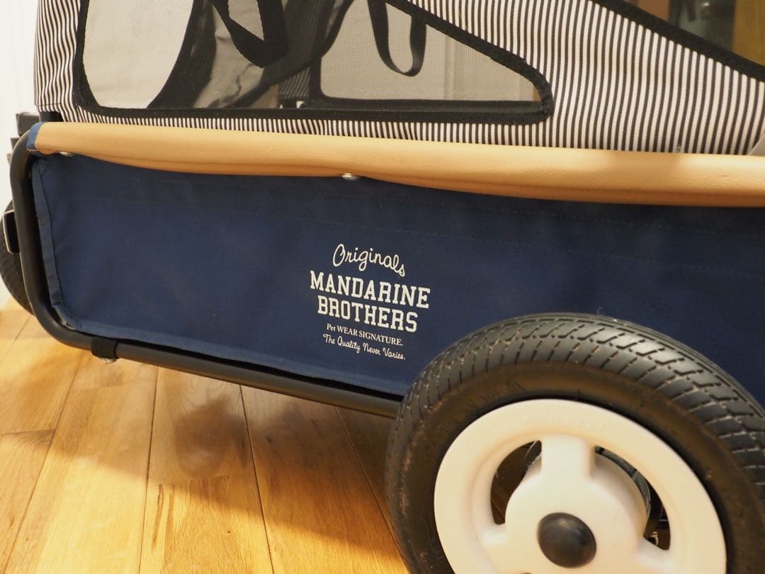 エアバギー トゥインクル マンダリンブラザーズ 限定カラー