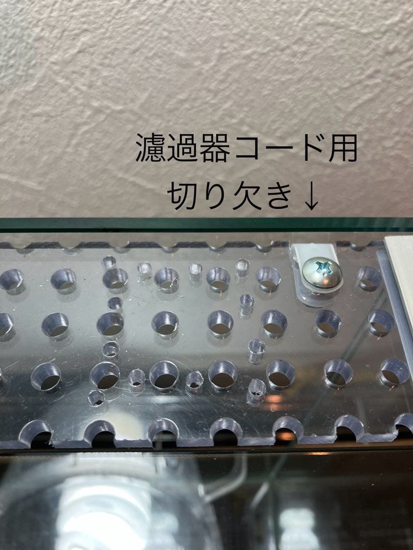 アクアサイダーのイモリウム テラリウム45cm水槽