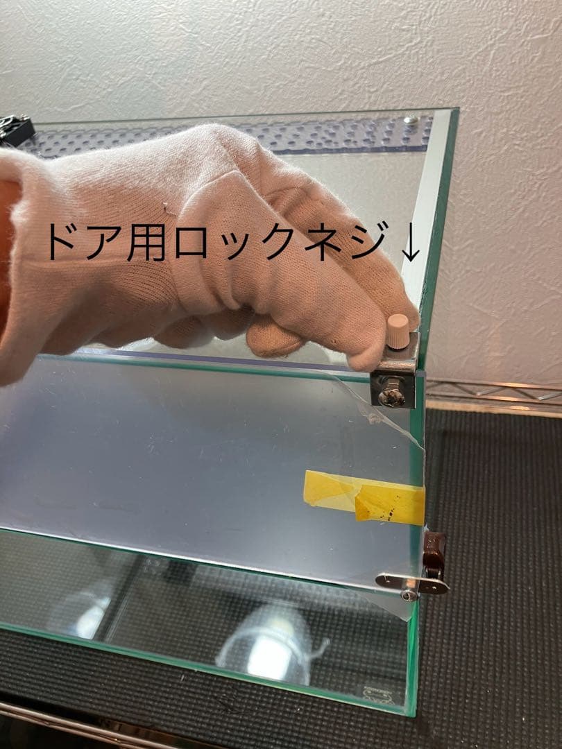 アクアサイダーのイモリウム水槽 サイズ45cm