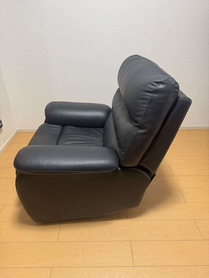 NITORI（ニトリ）電動リクライニングソファ（1人掛け／1P）