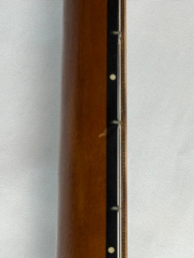 Maton EBG-808C TE 【トミー・エマニュエル シグネチャー】