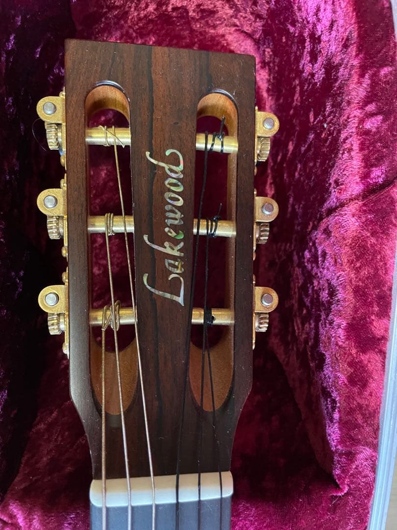 ギター Lakewood A-45 Custom Ziricote Europian