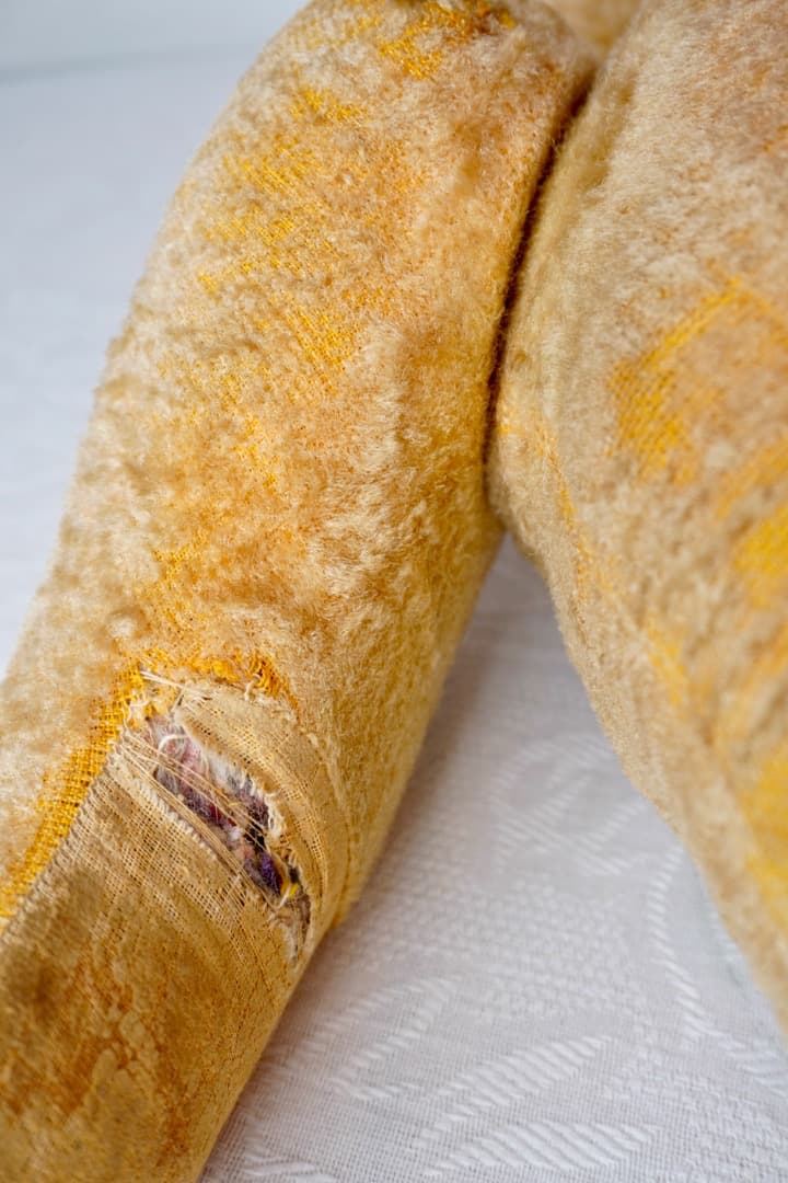 フランス アンティーク 大きなテディベア 全長74cm 1950年代