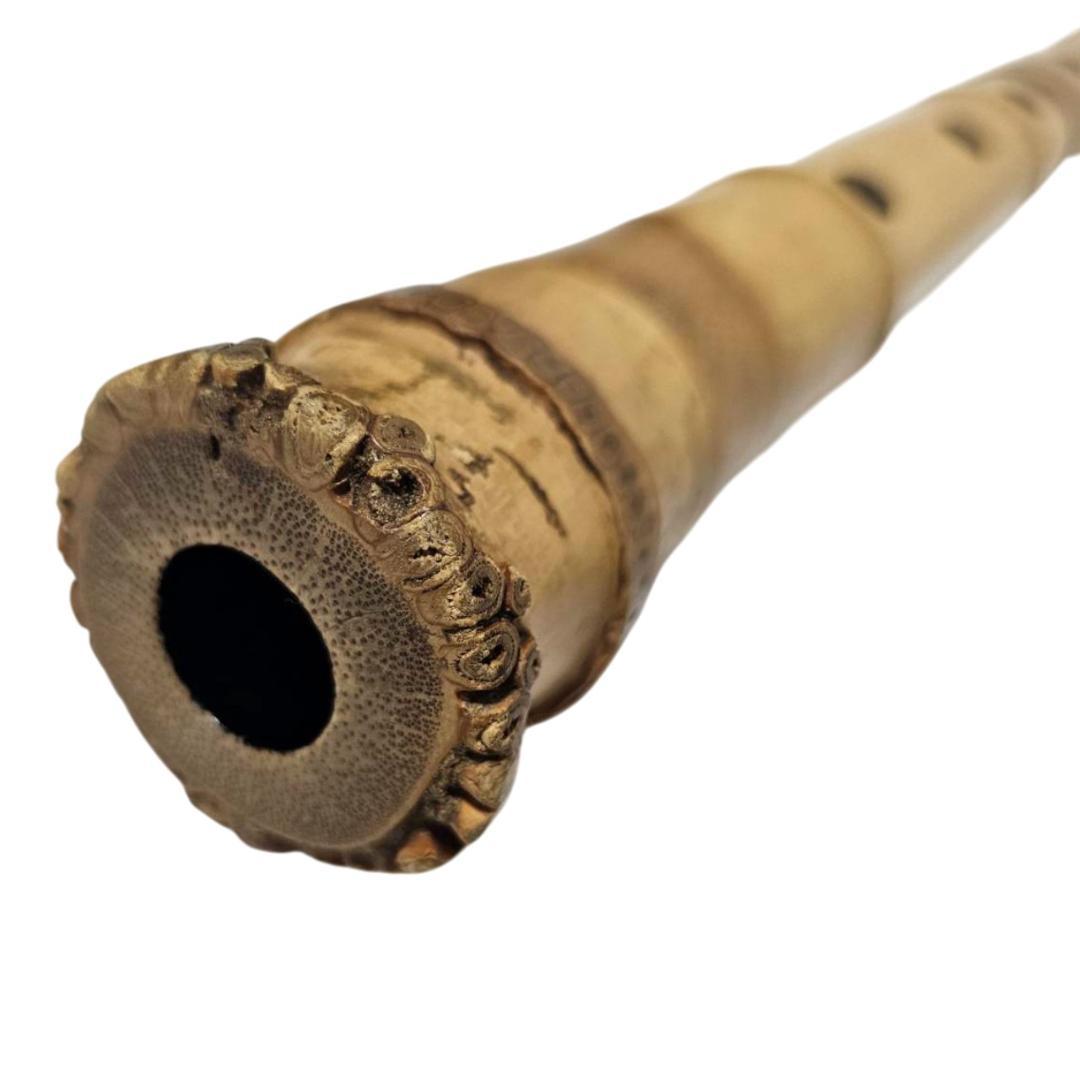 希少 尺八 琴古流 竹治 2尺 5孔 銘あり 1印 根竹 二分割 和楽器 竹