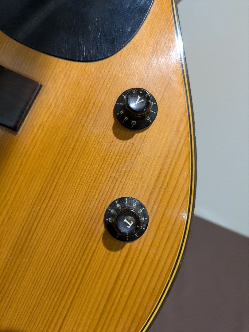 ジャパンビンテージアコースティックギター