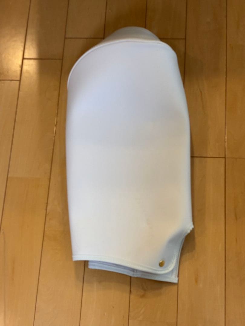 限定　テーラーメイド　マスターズ　22 キャディバック