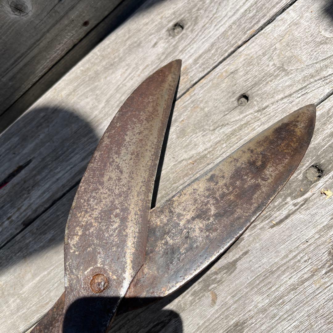 希少！アンティーク植木鋏