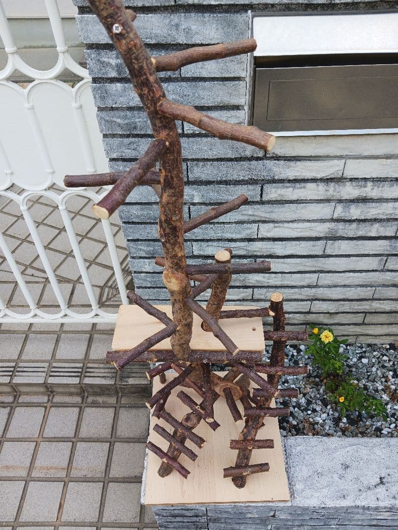 バードアスレチック バードアスレチックジム 止まり木、小鳥 No.911