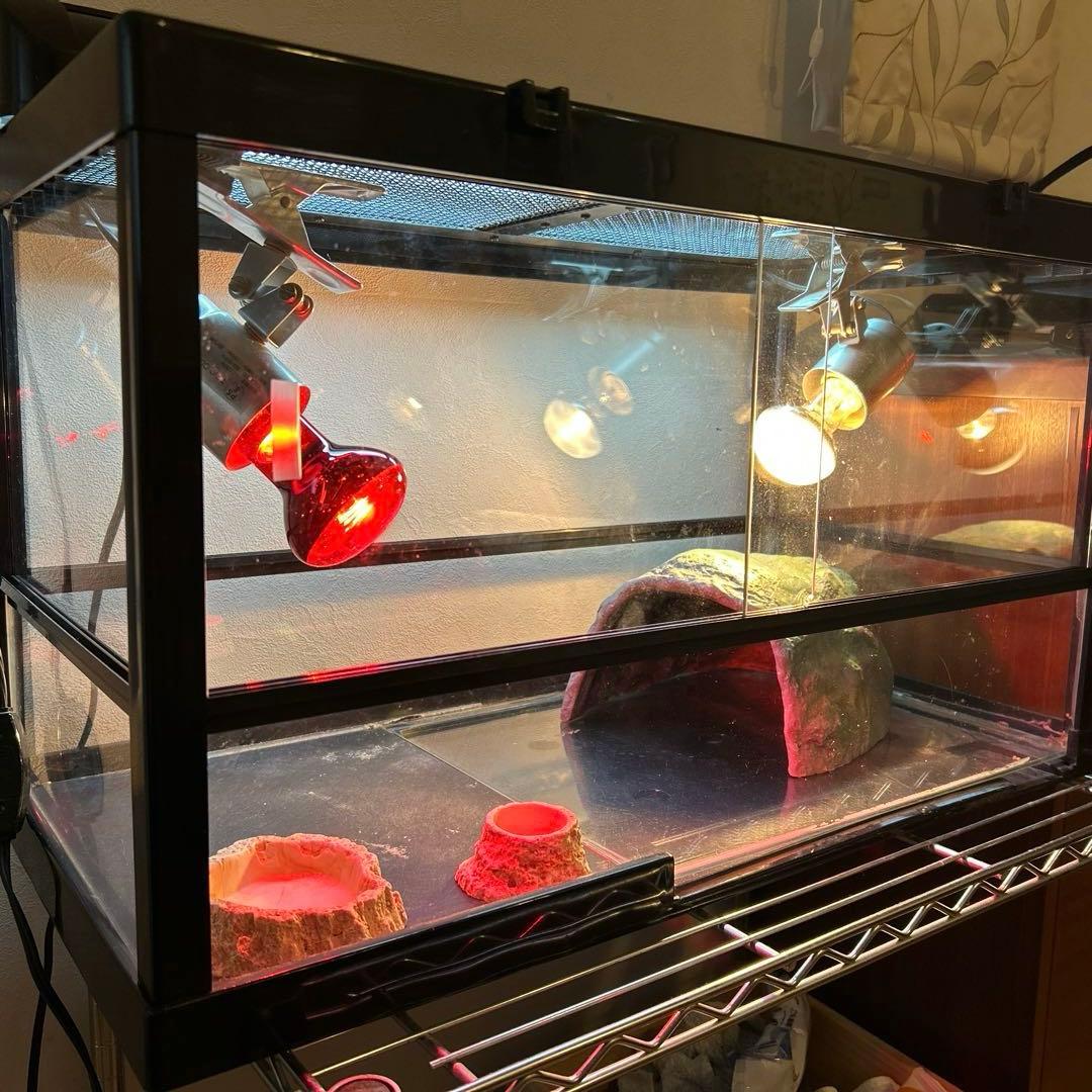 【リクガメ】【トカゲ】爬虫類飼育ケージセット