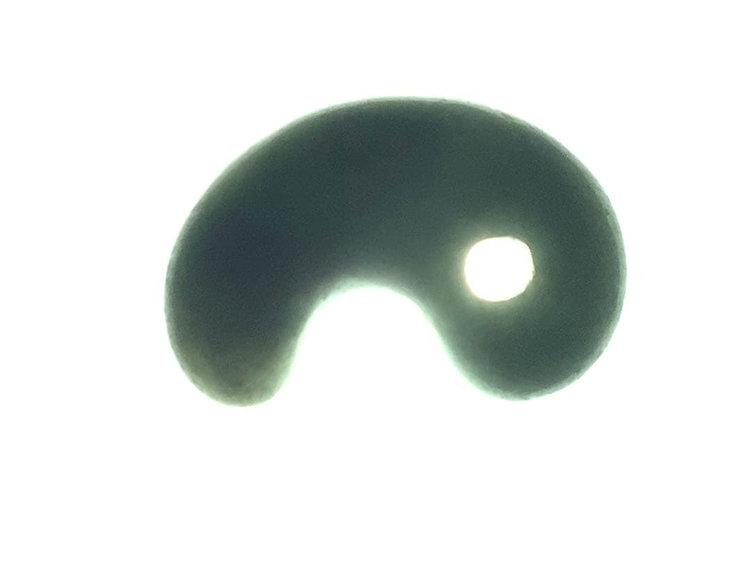 ✳神からのパワー宿る縁起物を‼️糸魚川翡翠ジェダイト　本物の勾玉　機械鑑定鑑別書付