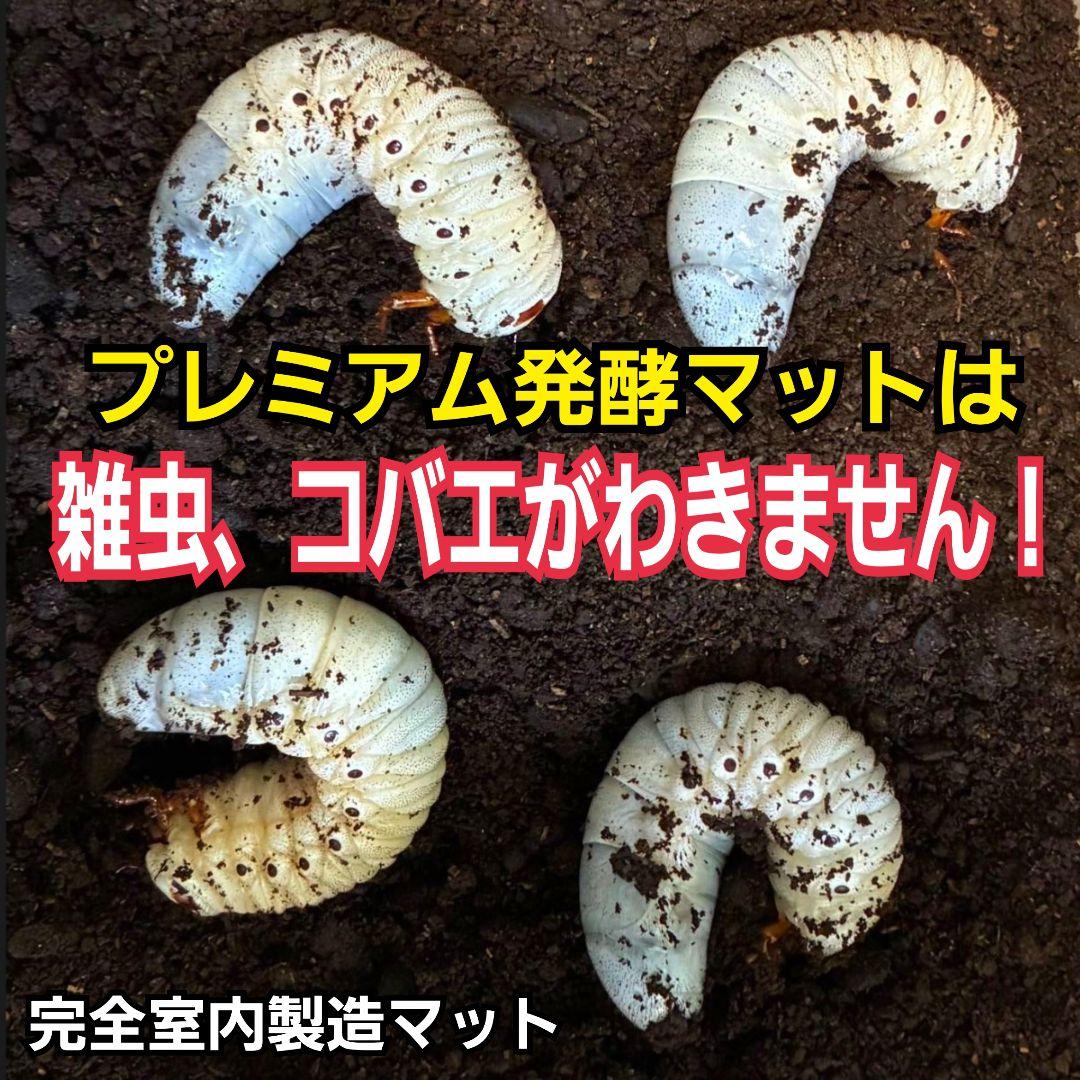 幼虫がビッグサイズに！プレミアム3次発酵カブトムシマット【60L】特殊アミノ酸入