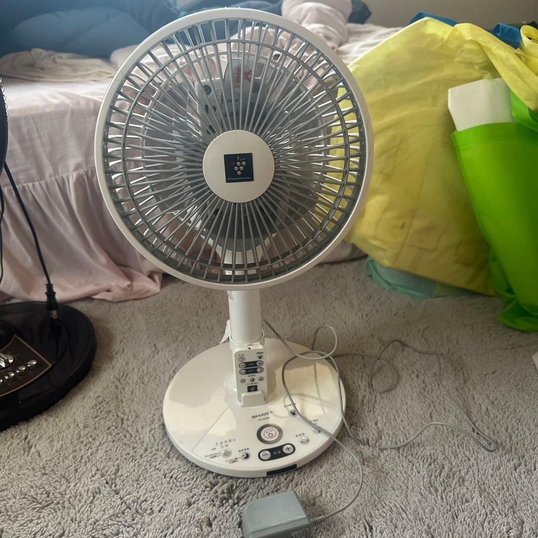 21年製 シャープ PJ-N2DS-W 扇風機　美品
